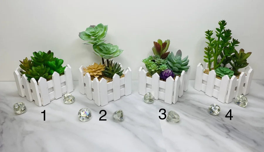 Decorative White Fence Succulent Plants