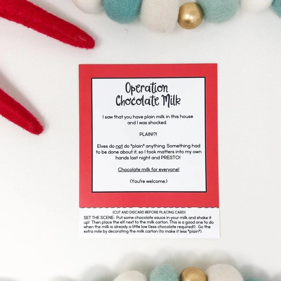 Christmas Elf Story Cards *Elf not included*