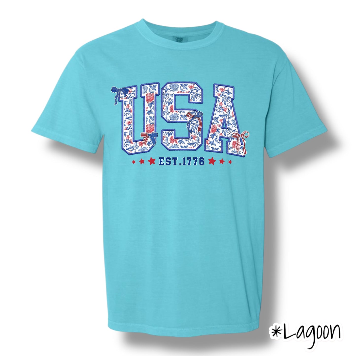 "USA" Front Print Only Graphic Short Sleeve T Shirt